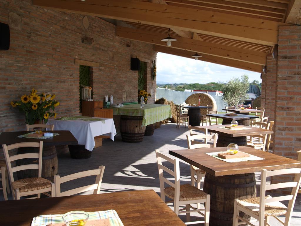 Azienda Agrituristica Il Poggetto Delle Spighe Collesalvetti Exterior foto