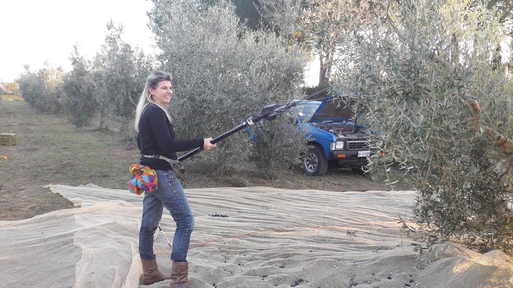 Azienda Agrituristica Il Poggetto Delle Spighe Collesalvetti Exterior foto