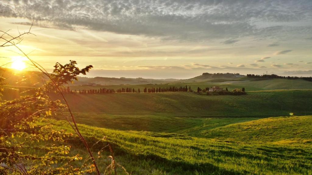 Azienda Agrituristica Il Poggetto Delle Spighe Collesalvetti Exterior foto